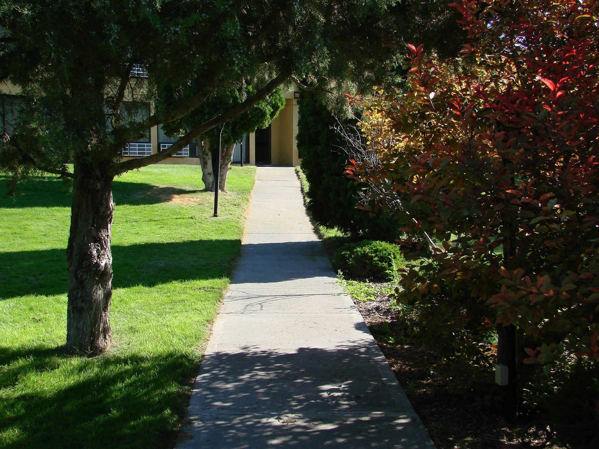 Econo Lodge Near Snake River Idaho Falls Exterior foto